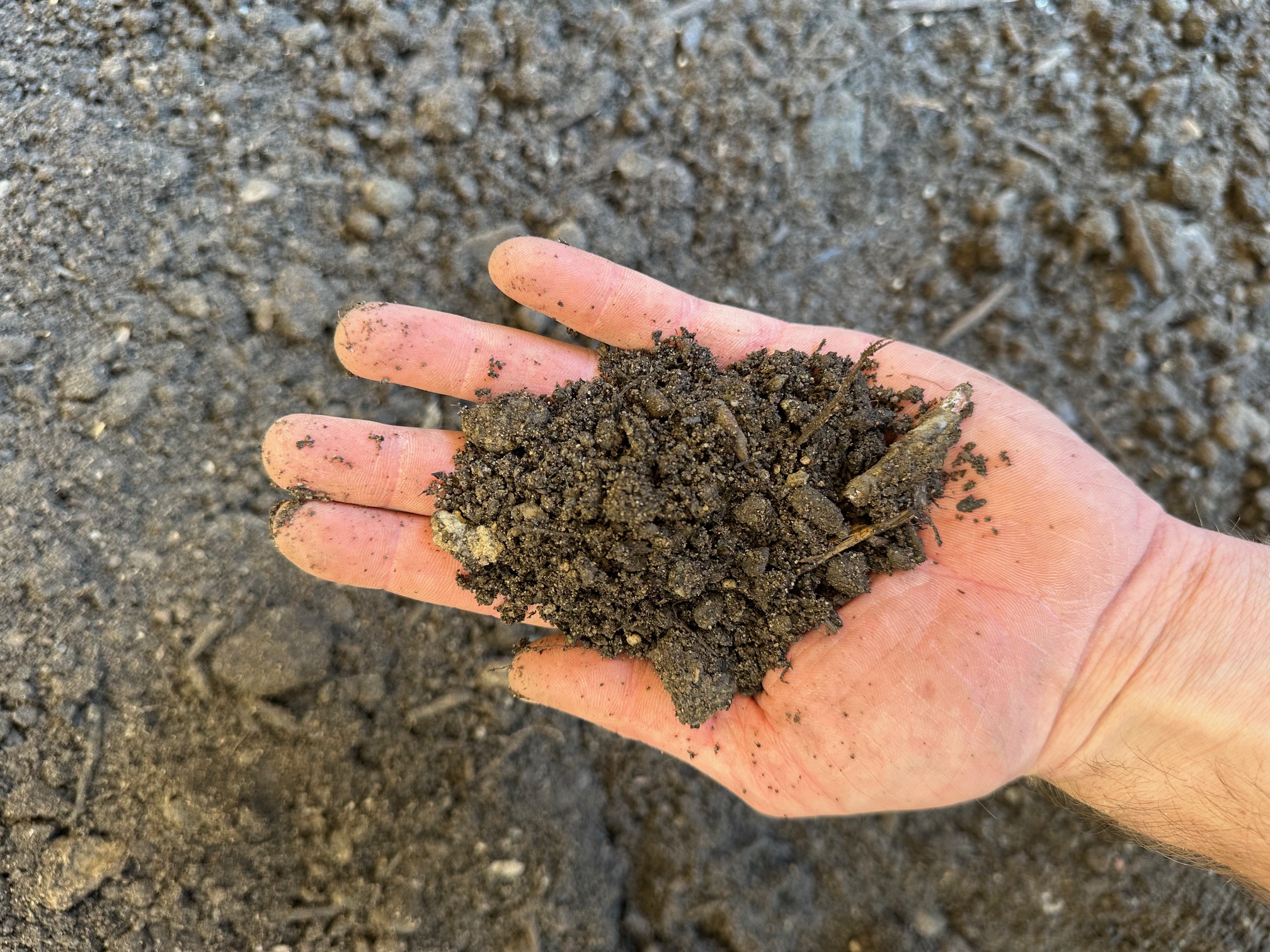 https://shop2.three-z.com/storage/photos/1/Products/Soil/Landscape Blend/LANDSCAPERS BLEND 2.jpg